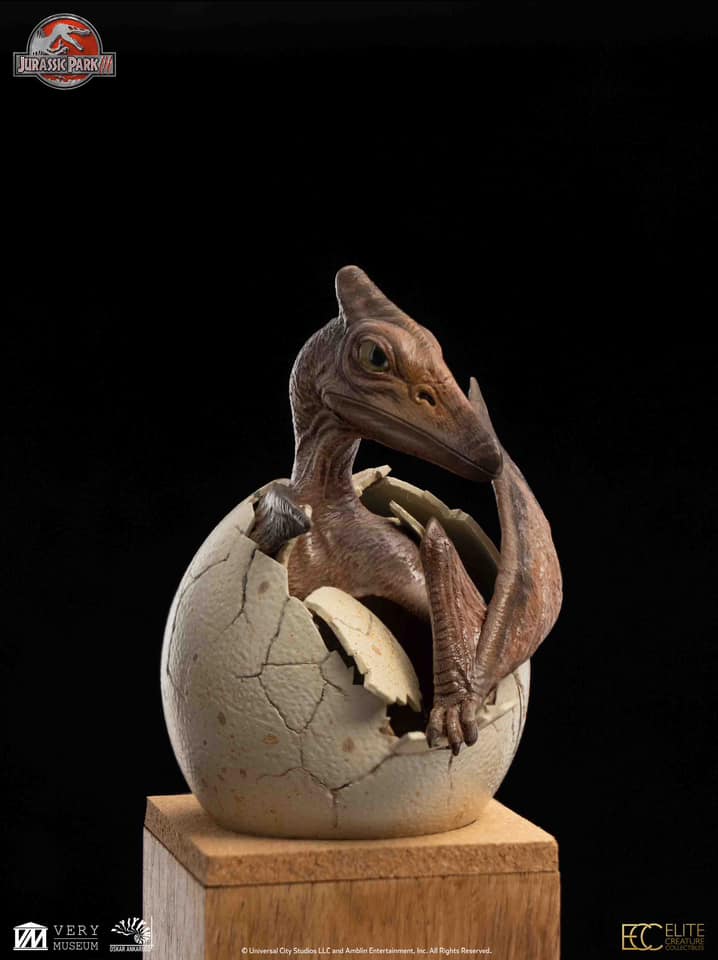 [สั่งจอง]ECC : Hatchling Pterosaur (Jurassic Park)
