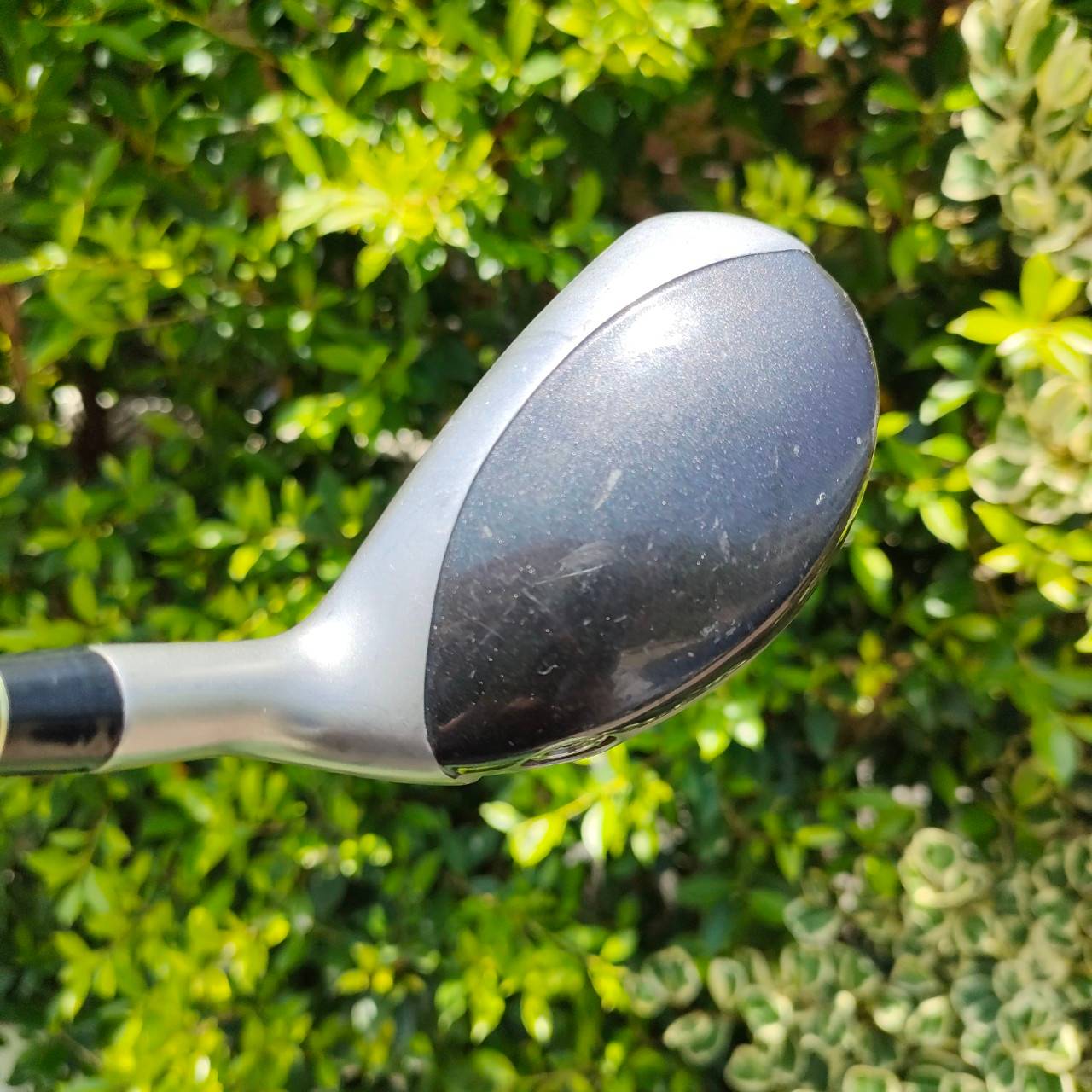 HYBRID 3 TAYLORMADE RESCUE DUAL องศา19 ก้าน TAYLORMADE MAS2 FLEX R ตัวนี้ปรับได้สองจุด คุมทิศทางได้ดีมาก