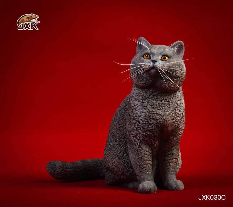 [สั่งจอง] JxK.Studio 1/6 Jxk029/ Jxk030 A/B/C/D -Ragdoll / British Shorthair Cat