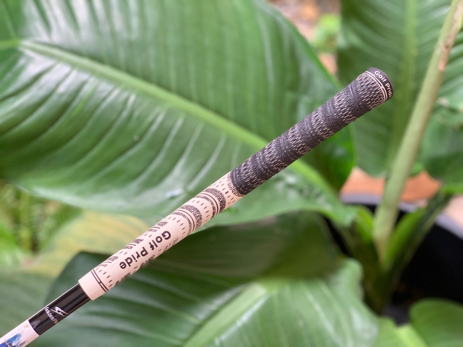 FAIRWAY 3 TSURUYA GOLDENPRIX-VX-