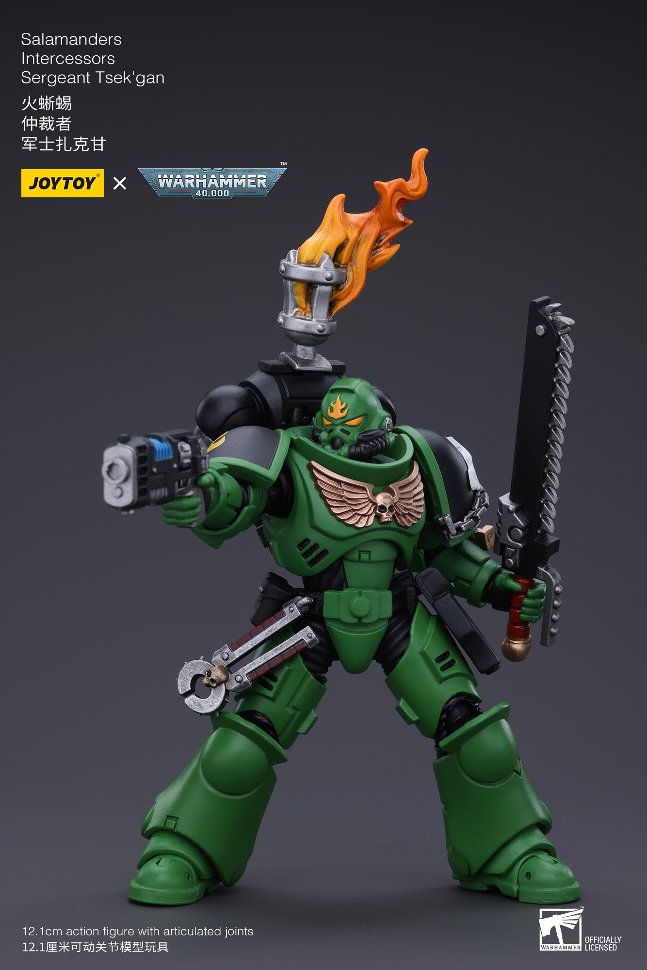 [สั่งจอง]Joy toy 1/18 --- Salamanders Intercessors ----