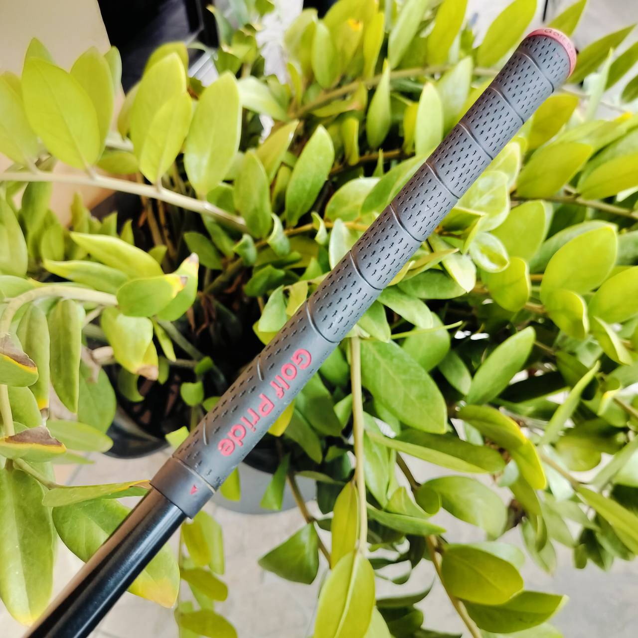 Driver KATANA AX400 หน้าเด้ง PROGRESSIVE TITANIUM ตีไกลมาก ก้าน FUJIKURA SPEEDER 569 FLEX R ตีง่ายและตีตรง ราคาคุ้มกว่านี้ไม่มีอีกแล้ว ไม้กอล์ฟพรีเมี่ยมมือสอง ของแท้ By NakaraLuxurious