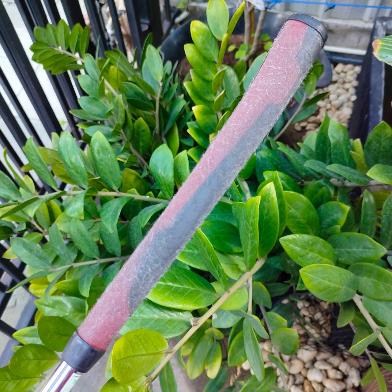 PUTTER ODYSSEY 2-BALL WHITE HOT XG ความยาว 34 นิ้ว หน้า XG ช่วยให้เกาะไลน์ขึ้น ทำให้ WHITE HOT XG ทั้งนุ่ม + เกาะไลน์มาก ไม้กอล์ฟพรีเมี่ยมมือสอง ของแท้ By NakaraLuxurious