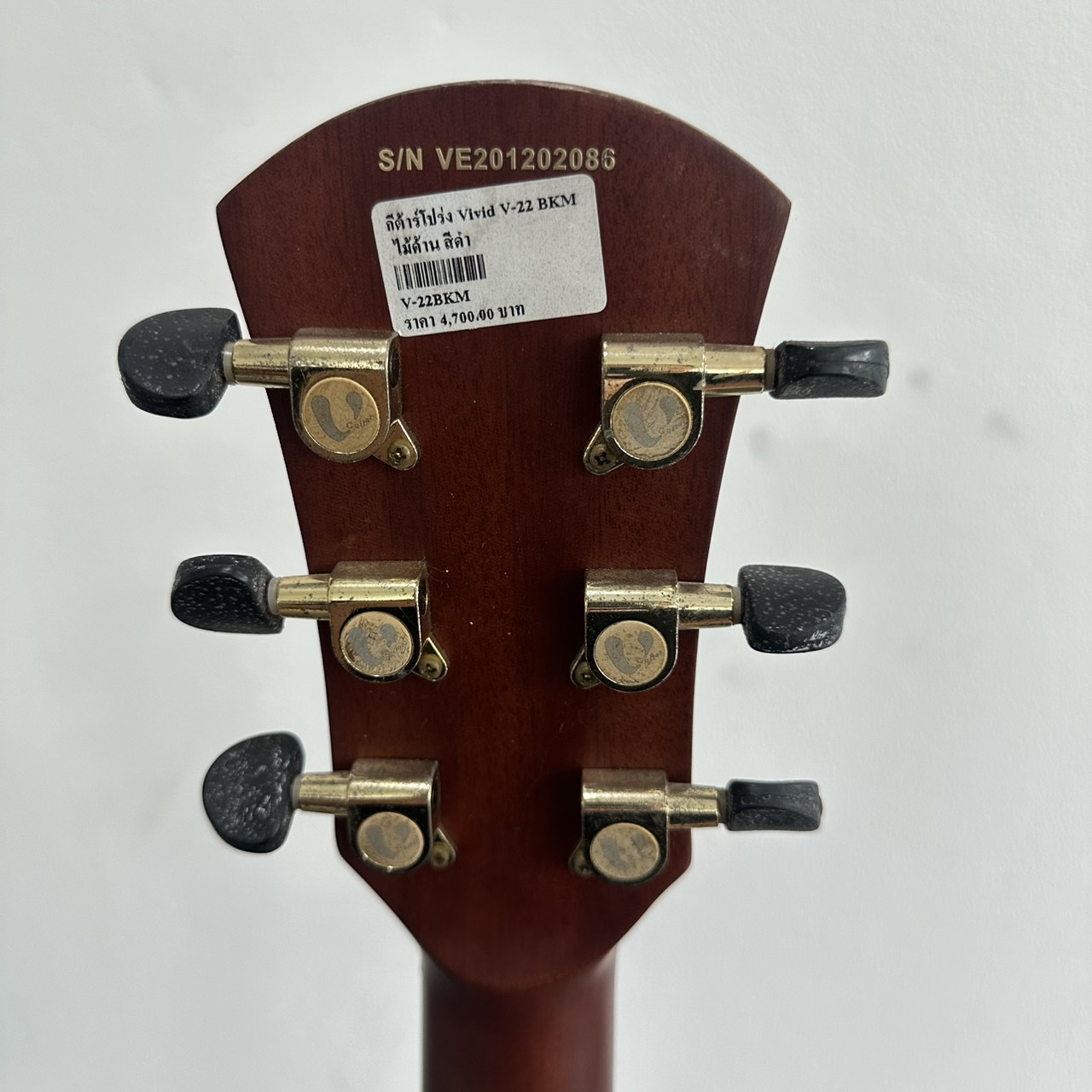 กีต้าร์โปร่ง Vivid รุ่น V-22/BKM