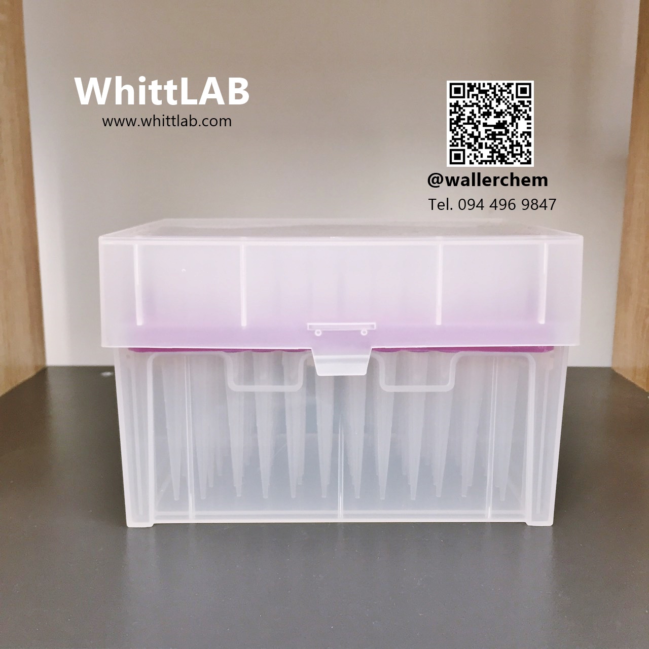 ปิเปตทิป 1,000uL 96ชิ้นต่อกล่อง (Pipette Tip Box)