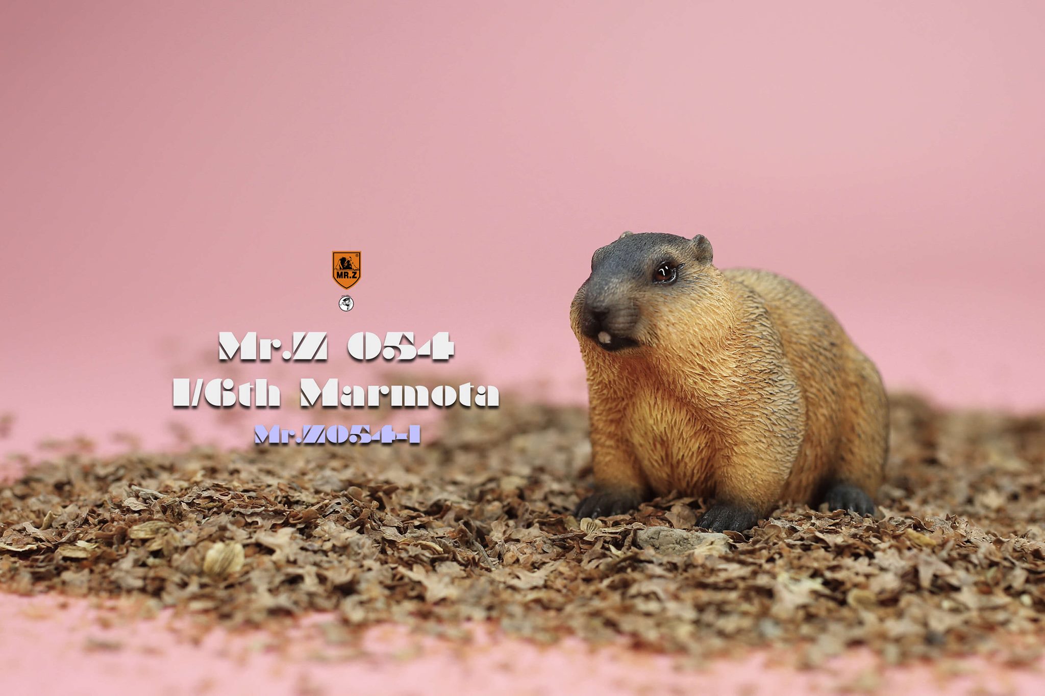 [สั่งจอง]Mr.Z MRZ054 1/6 : Animal Model - Marmota