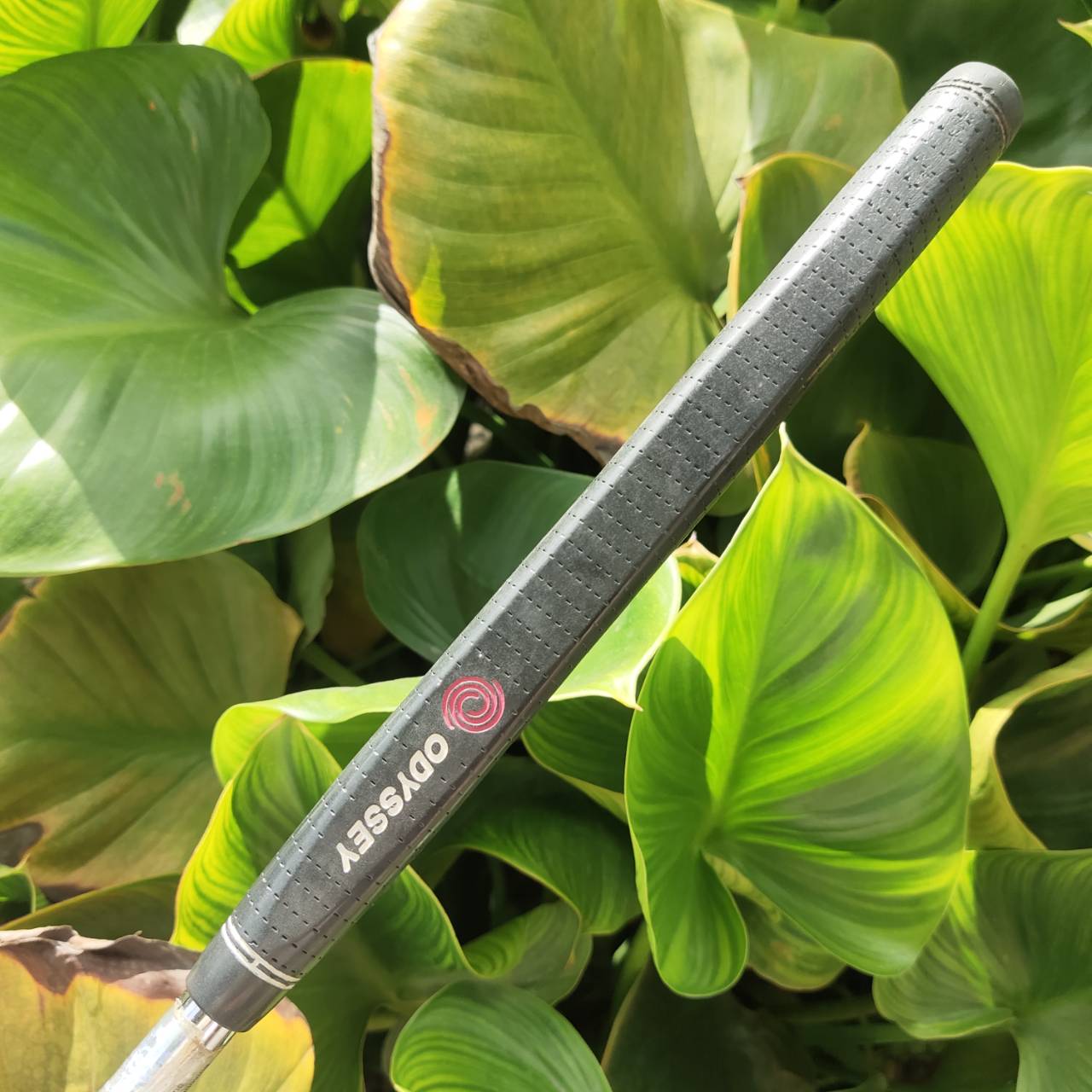 Putter ODYSSEY DUAL FORCE CLASSICS 660 หน้า Stronomic Insert ให้ฟีลนุ่ม ลูกกลิ้งเกาะไลน์มาก