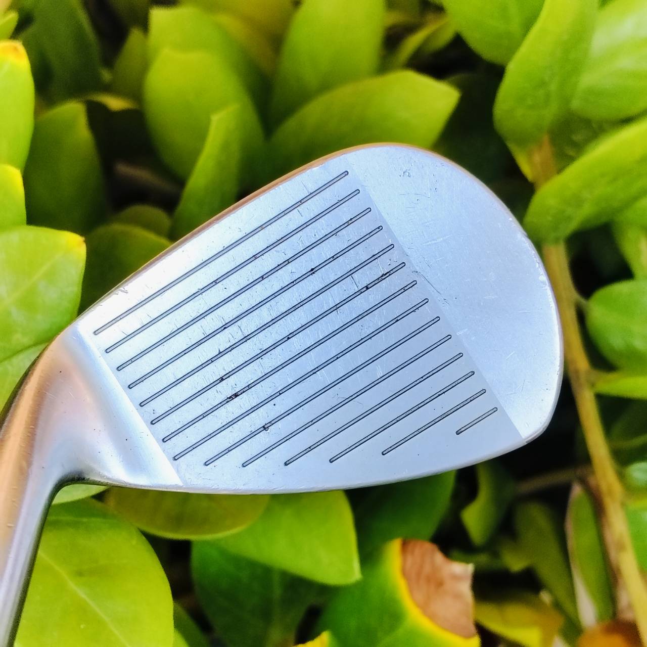 WEDGE MIZUNO MP SERIES องศา 50 BOUNCE 6 นุ่ม และวางบอลได้แม่นชิพสนุก ร่องหน้าใบสวยมาก ตีตกหยุดแน่นอน ก้าน DYNAMIC GOLD WEDGE FLEX ไม้กอล์ฟพรีเมี่ยมมือสอง ของแท้ By NakaraLuxurious
