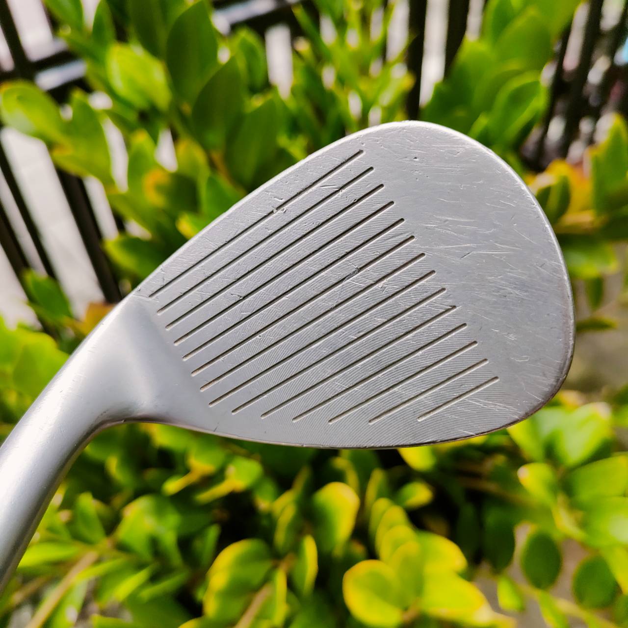 WEDGE MD Golf SEVE ICON องศา 52 ก้าน DG R300 หน้า SPIN MILLED สวยมาก ชิพอย่างแม่น สปินที่เหนือชั้น ไม้กอล์ฟพรีเมี่ยมมือสอง ของแท้ By NakaraLuxurious