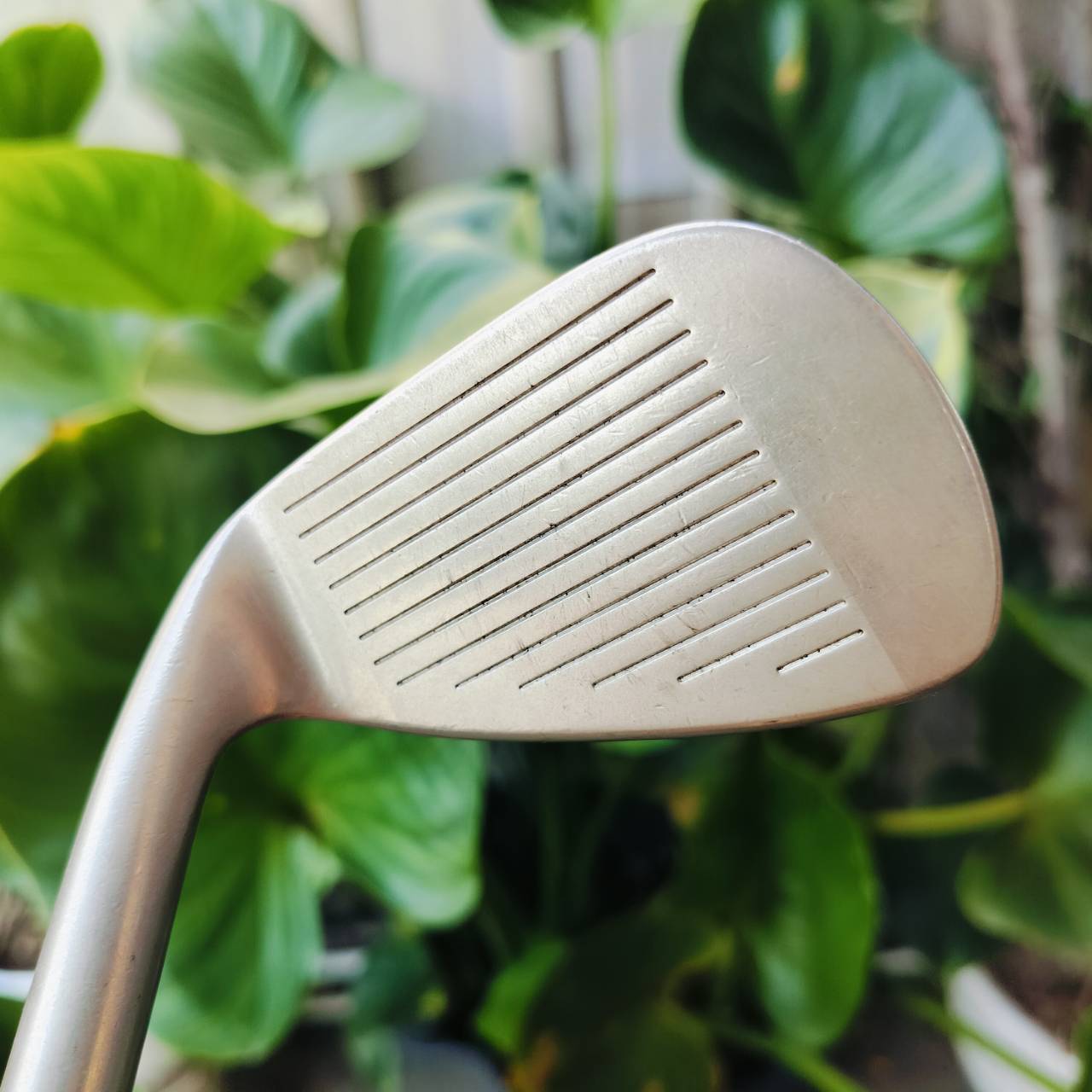 ชุดเหล็ก BRIDGESTONE JOE MODEL มีเหล็ก 4 5 6 7 8 9 PW AW SW ก้าน DYNAMIC GOLD S200 เหล็ก FORGED CAVITY พรีเมี่ยมญี่ปุ่น ไม้กอล์ฟพรีเมี่ยมมือสอง ของแท้ By NakaraLuxurious