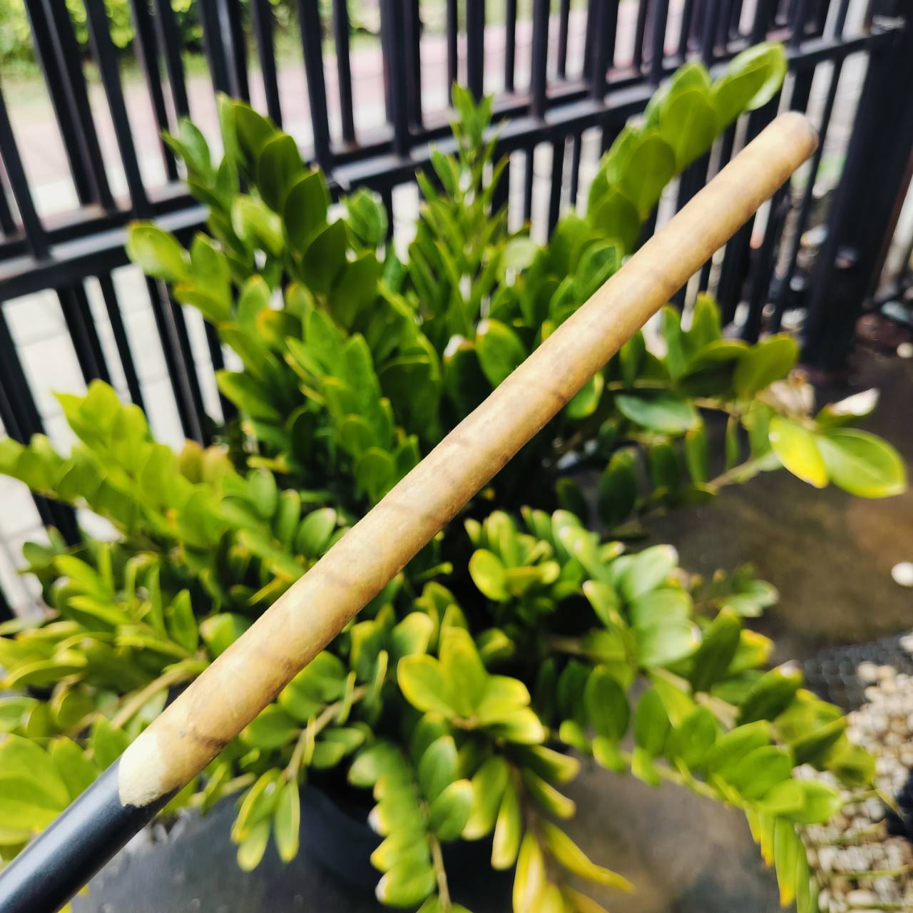 ก้านกราไฟต์สำหรับใส่ชุดเหล็ก Titleist SELECT CUSTOM GRAPHITE FLEX S สำหรับใส่เหล็ก 3 - 9 ก้านสุดยอดคุณภาพ สภาพดีมากค่ะ ก้านไม้กอล์ฟพรีเมี่ยมมือสอง ของแท้ By NakaraLuxurious