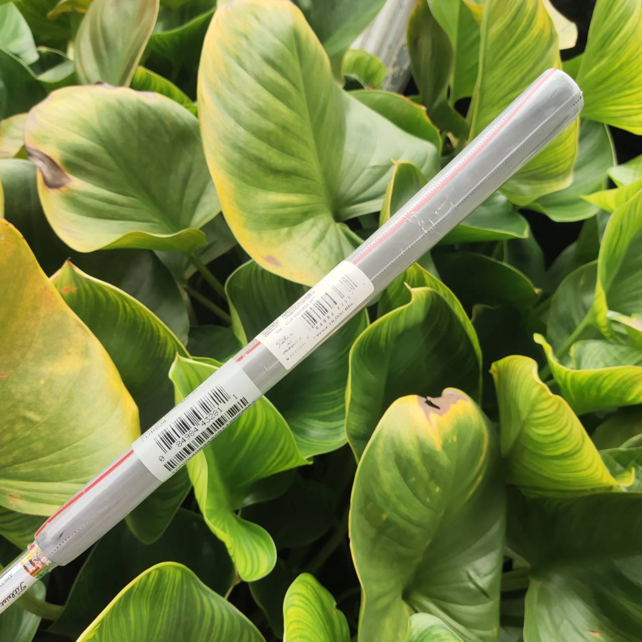 PUTTER SCOTTY CAMERON California Sonoma (เหมือนของใหม่ กริพยังไม่แกะพลาสติก)