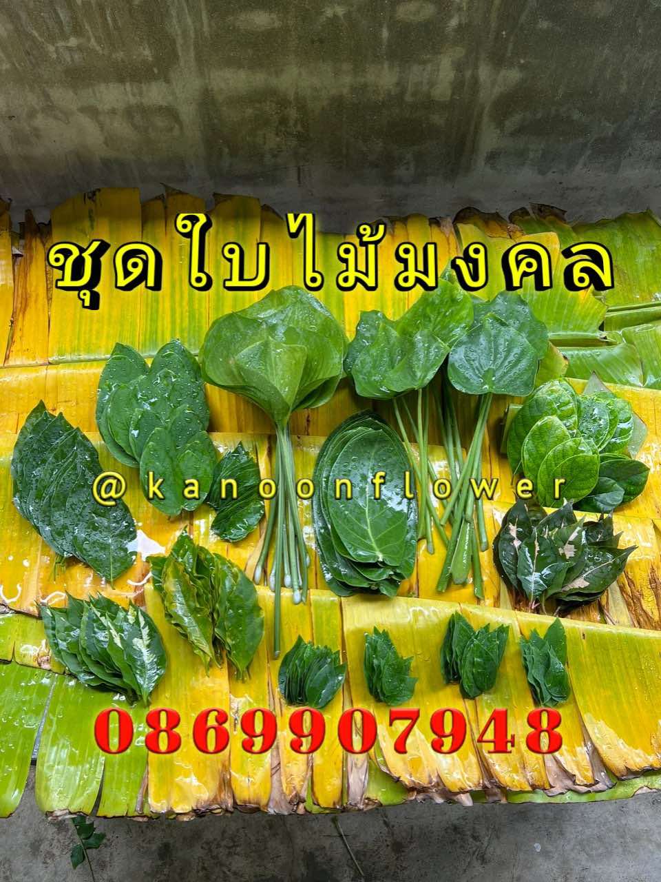 ใบไม้มงคล (พิธี)