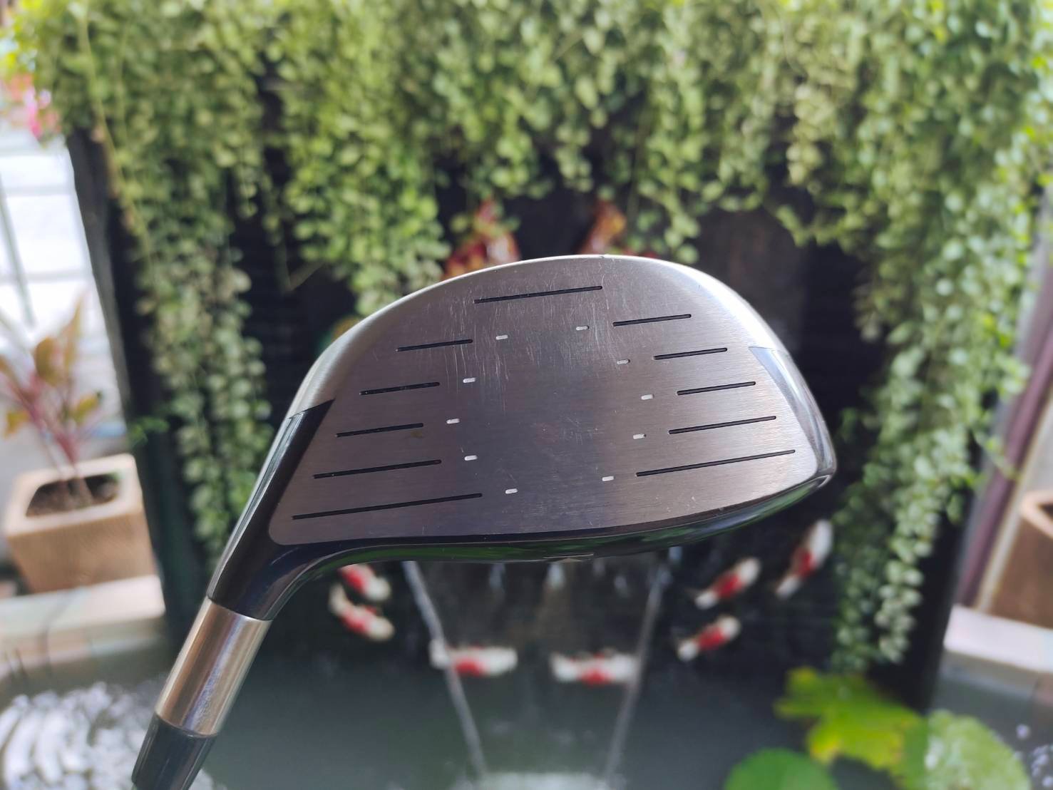 Driver Titleist 905T