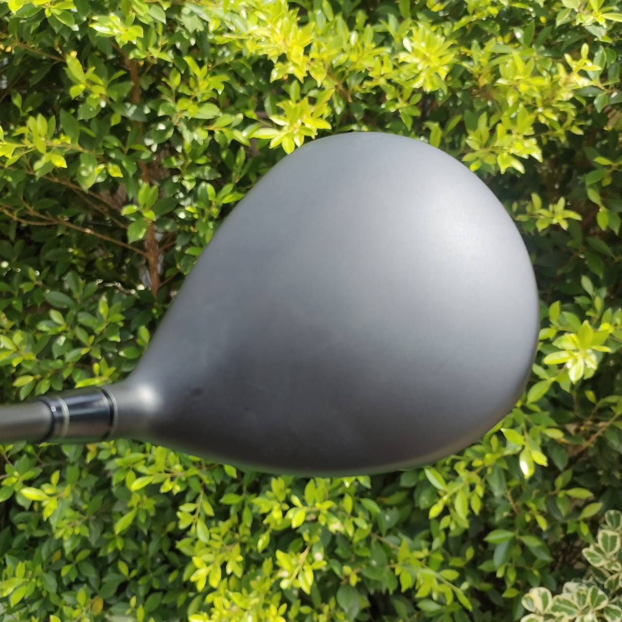 DRIVER HONMA T//WORLD GS PROTOTYPE II องศา 9.5 ก้าน VIZARD FZ-65