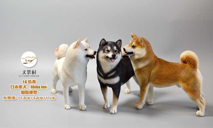 [สั่งจอง]SGTOYS S-010,S-011,S-012 1/6 Animal Model Chihuahua/ Rottweiler/ Springer Spaniel/Shiba Inu