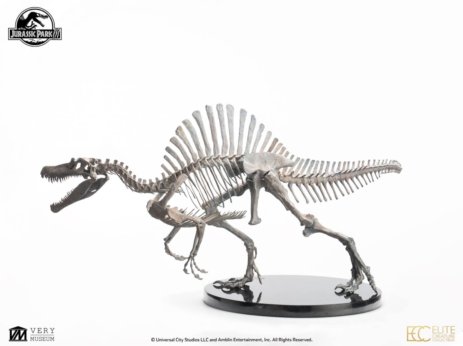 [สั่งจอง]ECC : Bronze Spinosaurus Skeleton (Jurassic Park III)