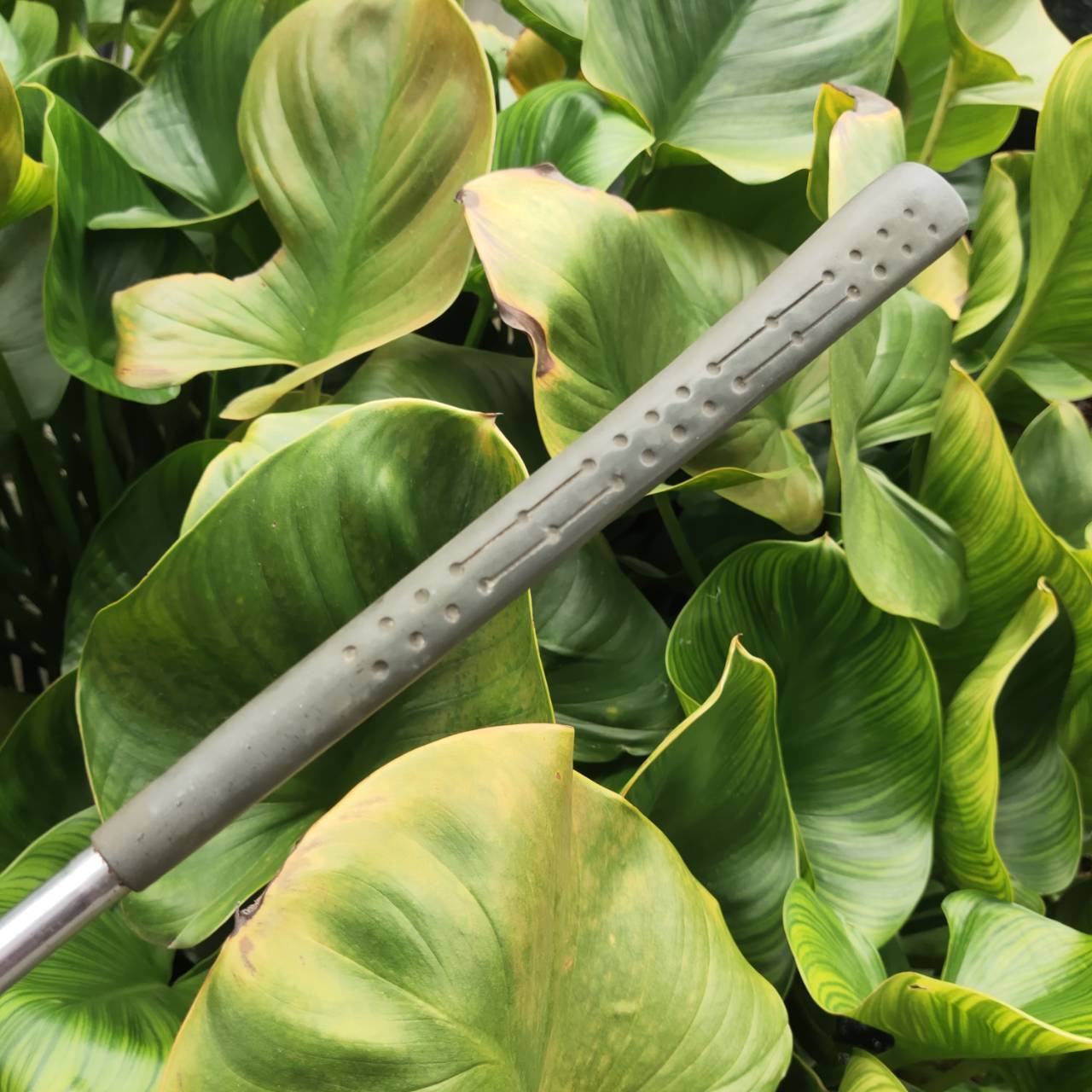 ไม้กอล์ฟครบชุดสำหรับผู้หญิง FULLSET SPALDING LADY มือสอง พร้อมสำหรับออกรอบได้เลย