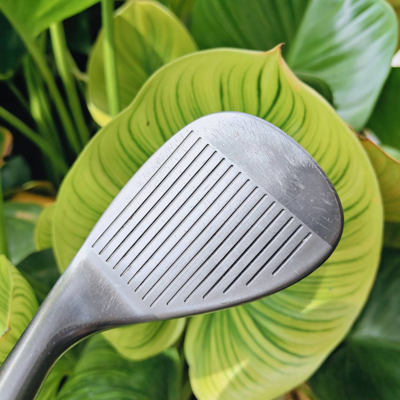 WEDGE CG12 ZIP GROOVE 60° BOUNCE 4 – ช็อตรอบกรีนสุดแม่นยำ ระเบิดทรายได้เหนือชั้น!