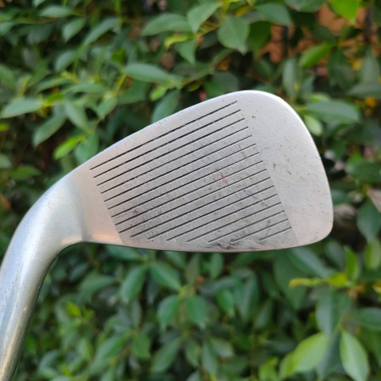 ชุดเหล็ก LYNX USA MODEL มีเหล็ก 3-9 เเละ PW SW ก้าน LYNX FLEX R