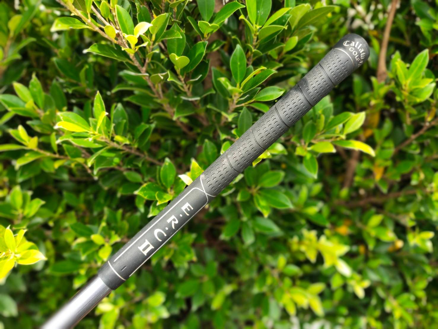 Driver Callaway E.R.C.II FORGED TITANIUM หน้าเด้ง ตัวนี้ตีไกลมากๆ มี COVER