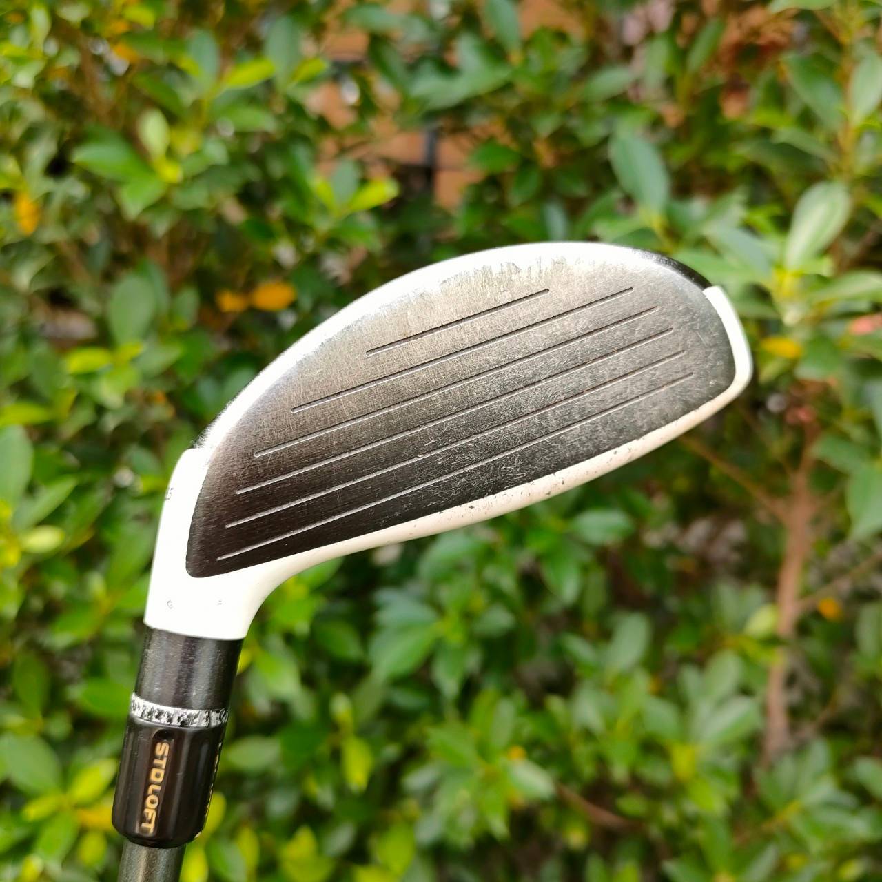 FW3 TAYLORMADE R11S องศา 15.5 ก้าน ELASTER D4200 FLEX SR รุ่น S ตีดี ตีไกลมากๆ เสียงเพราะสุดๆ