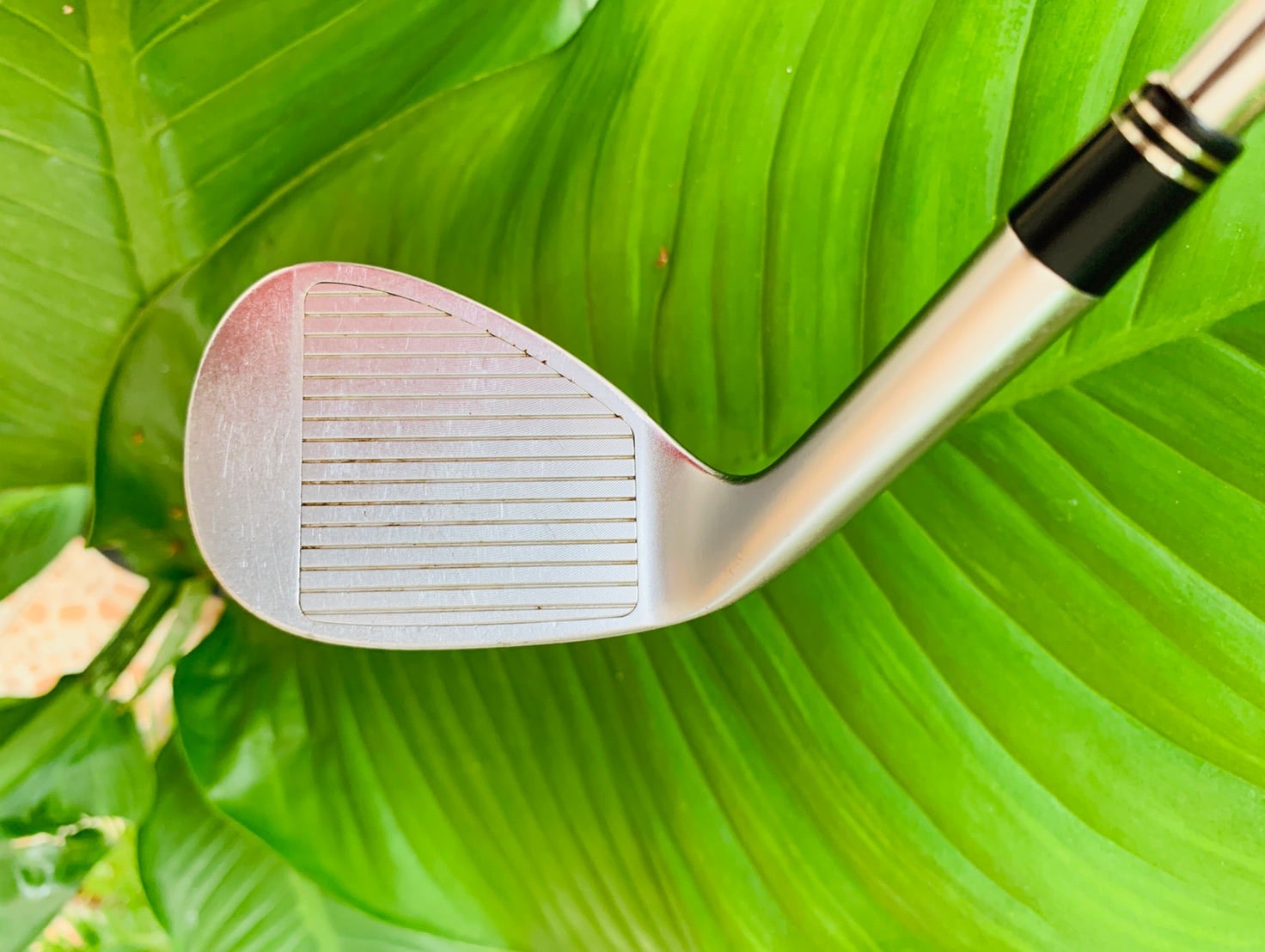 WEDGE 56/12 TAYLORMADE MILLED ZTP