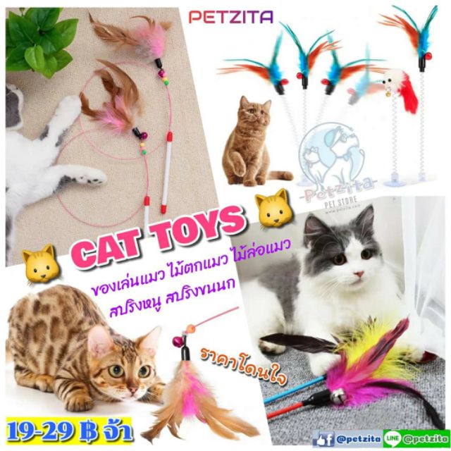 🇹🇭พร้อมส่ง🇹🇭🐱🍭💕 CAT TOYS ของเล่นนุ้งแมว ไม้ตกแมว ไม้ล่อแมว สปริงหนู สปริงพู่ขนนก ราคาสุดคุ้มจ้าาาา