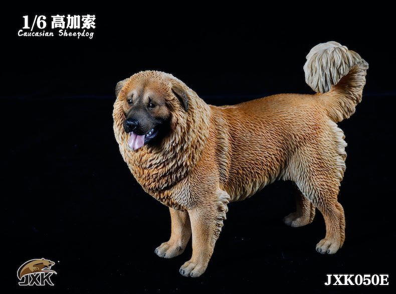 [สั่งจอง]JXK JXK050 1/6 : Caucasian Sheepdog
