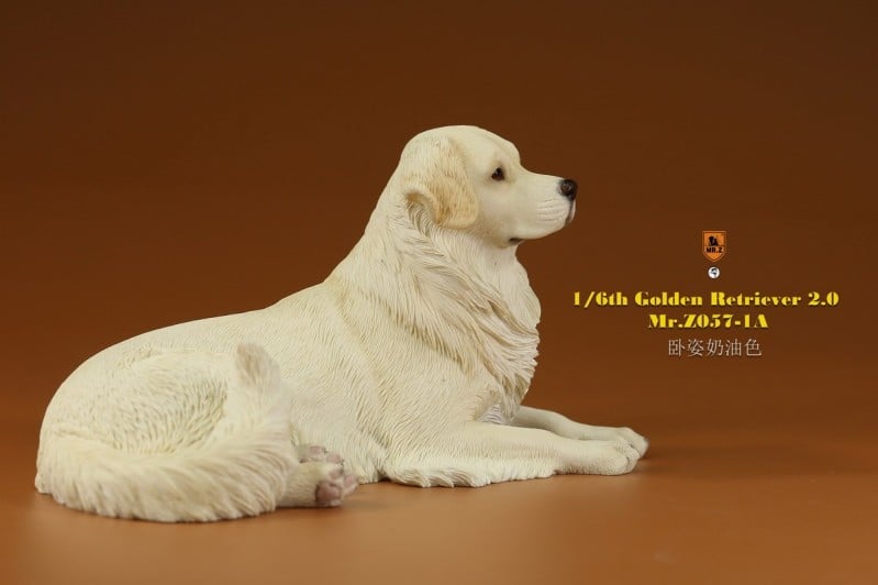 [สั่งจอง]Mr.Z MRZ057 1/6 : Golden Retriever 2.0