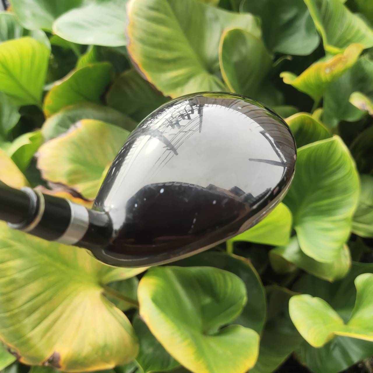 3W WILSON DEEP RED PF MAS-1C | Loft 15° | Flex R ไม้แฟร์เวย์ตีง่ายมากๆ สำหรับนักกอล์ฟทุกระดับ!