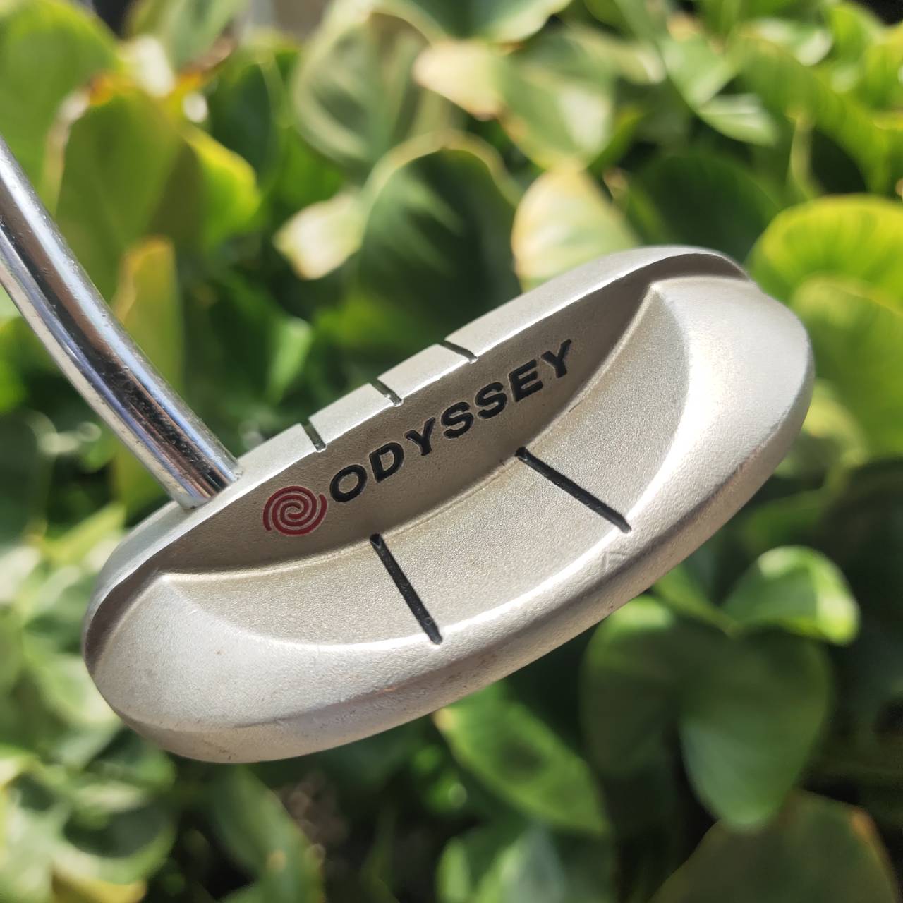 PUTTER ODYSSEY DUAL FORCE ROSSIE II รุ่นหน้าดำทั้งนุ่มและเกาะไลน์มาก