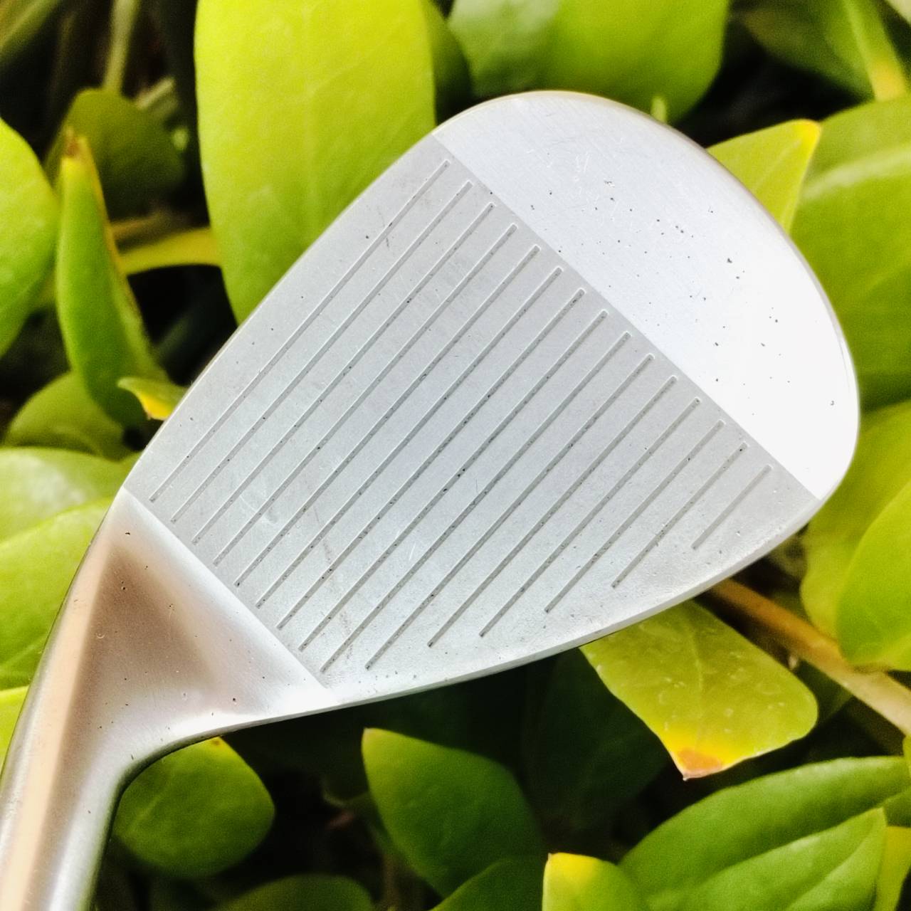 WEDGE SRIXON TC I-201 องศา 52 วัสดุ FORGED JAPAN สุดนุ่มนวล เข้าบอลแน่น สปินดีมากค่ะ ไม้กอล์ฟพรีเมี่ยมมือสอง ของแท้ By NakaraLuxurious