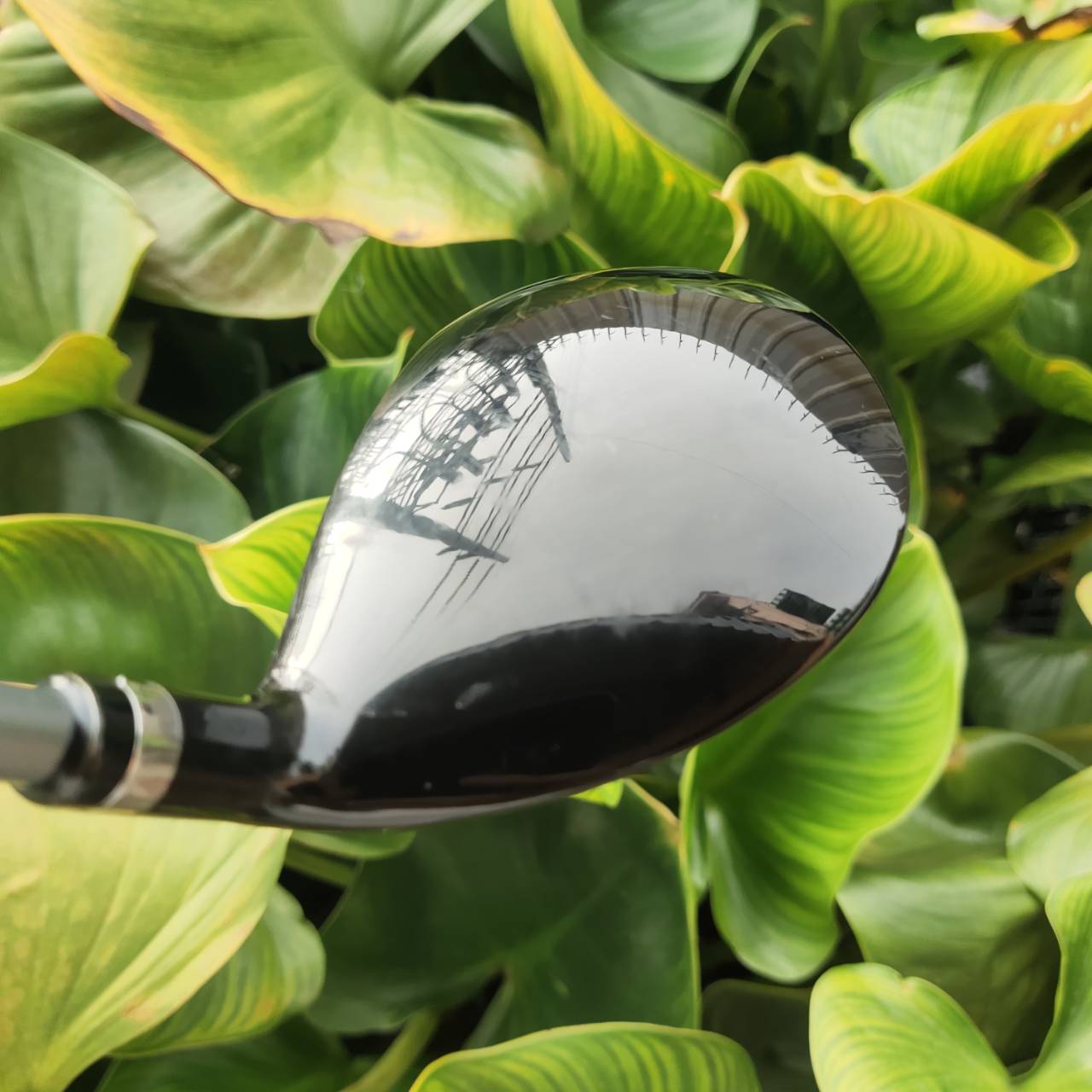 7W PRGR iD Nabla RS หน้าเด้ง ลอยไว ระยะสวย! แฟร์เวย์วูดเบอร์ 7 ตีง่ายกว่าเหล็ก หรือไฮบริด