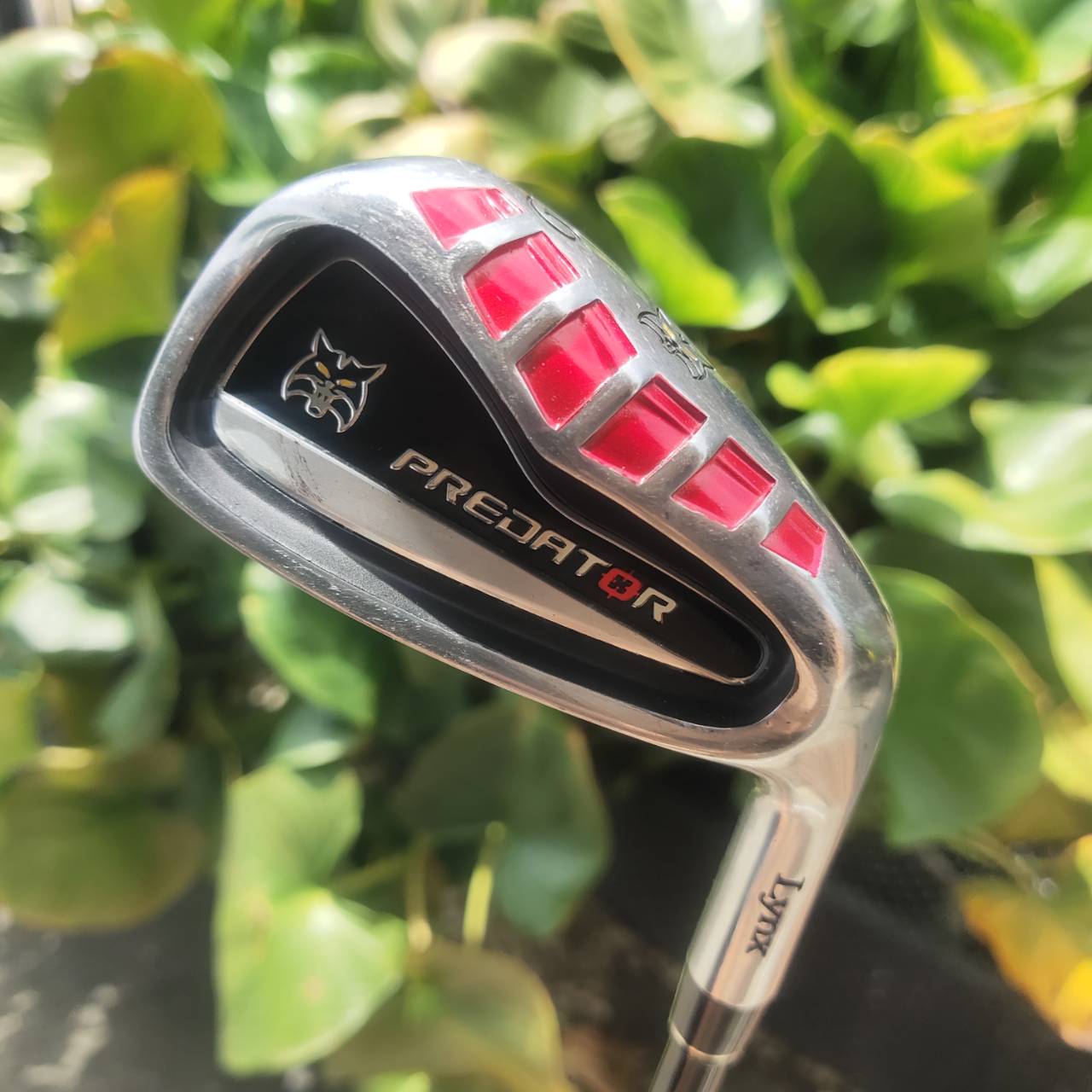 FULL SET LYNX PREDATOR ครบเซ็ต พร้อมเล่น! ครบชุดในทีเดียวจากแบรนด์คุณภาพ LYNX !!!