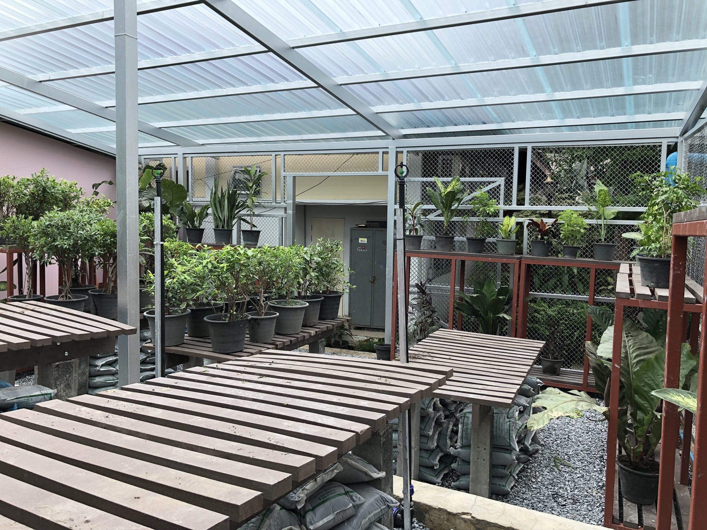 งานเรือนเพาะชำ กองทัพเรือ