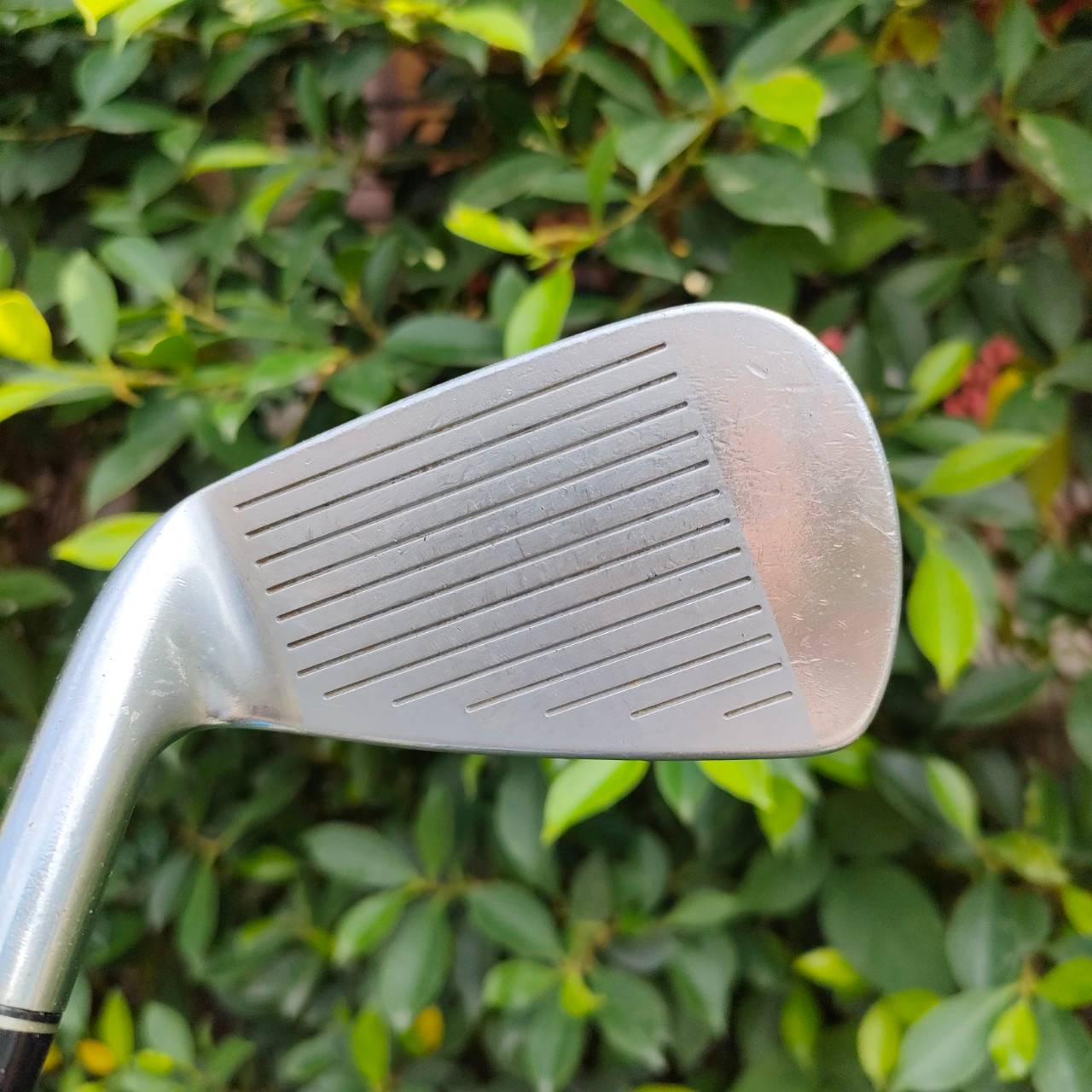 ชุดเหล็ก TOURSTAGE VIQ มีเหล็ก 4-9 เเละ PW ก้าน NS.PRO 950 FLEX R เหล็ก PREMIUM FORGED JAPAN สุดๆของคุณภาพ มี CAVITY ด้วย ตีทั้งง่าย นุ่ม มันส์ คมจัดๆครับ