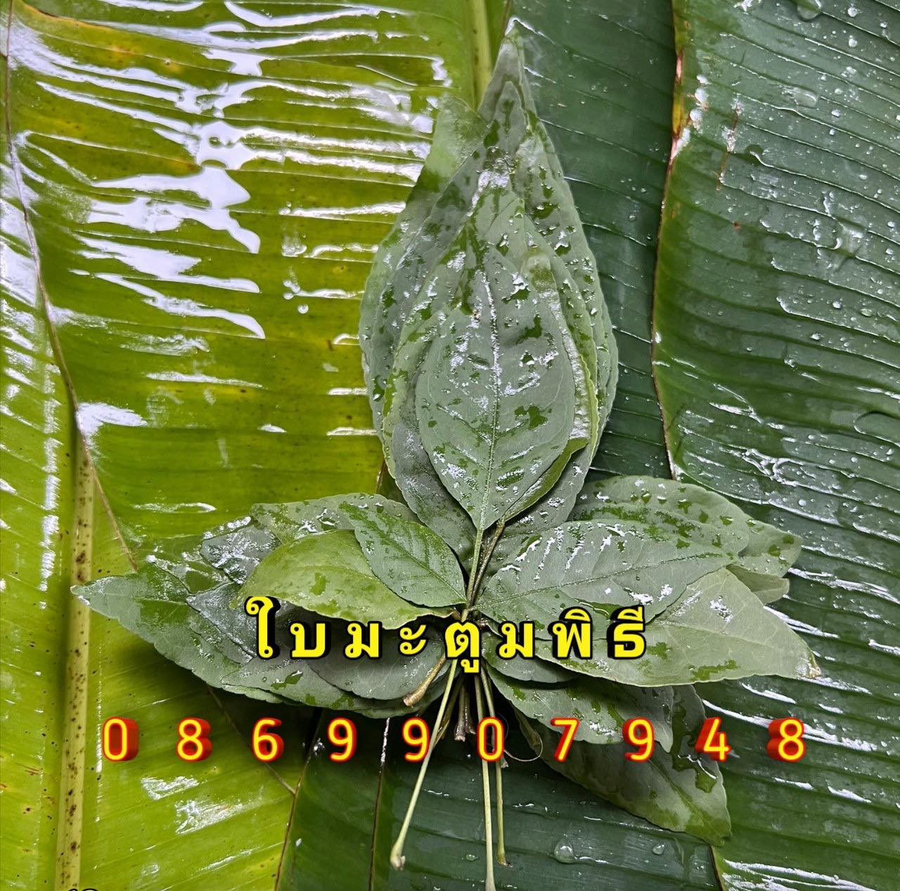 ใบไม้มงคล (พิธี)