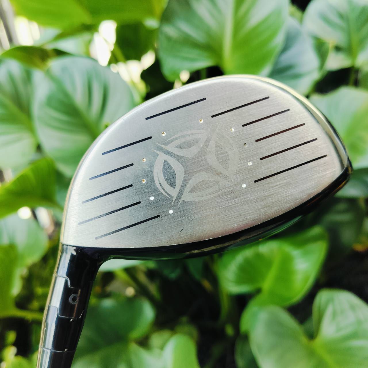 Driver Callaway RAZR FIT องศา 10.5 ก้าน ALDILA'D RIP NV FLEX R ก้านโมสุดพรีเมี่ยม ก้านเบา ตีไกลมากๆ ไม้กอล์ฟพรีเมี่ยมมือสอง ของแท้ By NakaraLuxurious