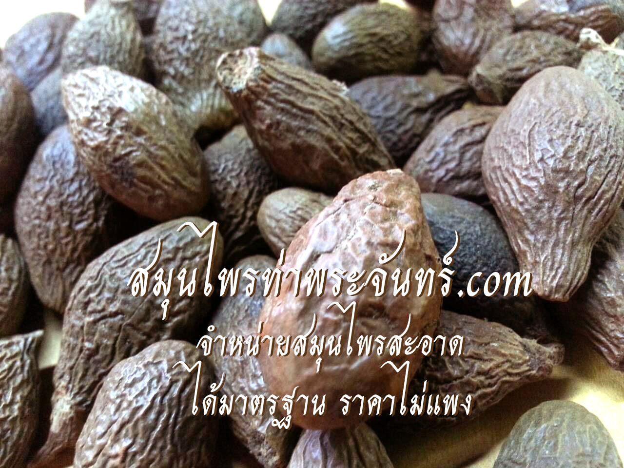 Dried Malva nut