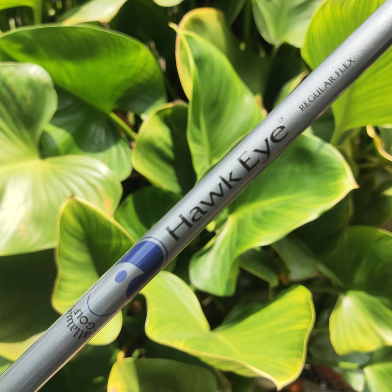 ชุดเหล็ก Callaway HAWK EYE TITANIUM IRONS โครงสร้าง Titanium + Tungsten Weighting ตีไฟแล่บ