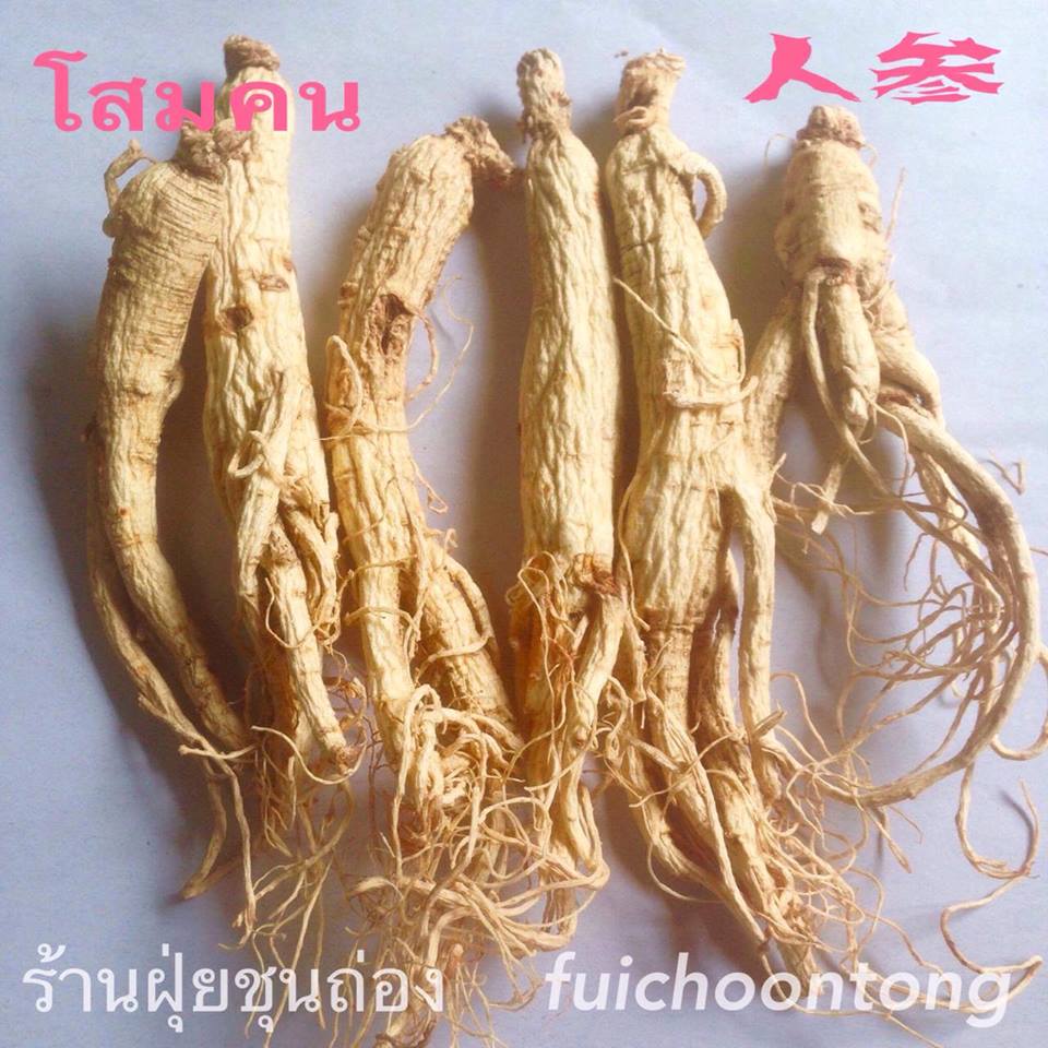 โสมคน (โสมยินเซียม)