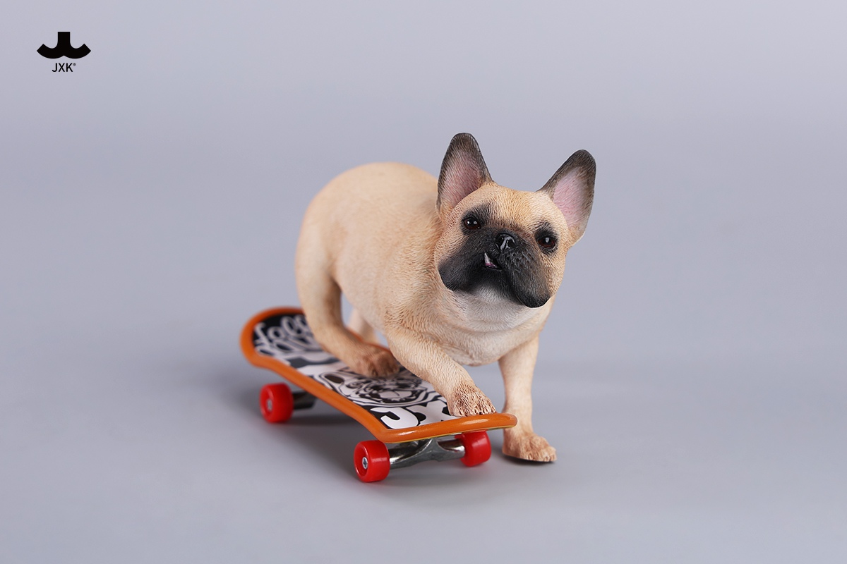 [สั่งจอง] JXK 1/6 : Skateboarding French Bulldog