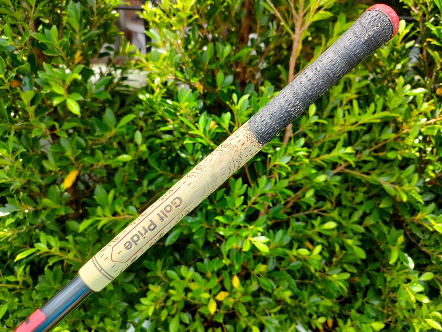 WEDGE 53 IKASU BLACK LIMITED EDITION