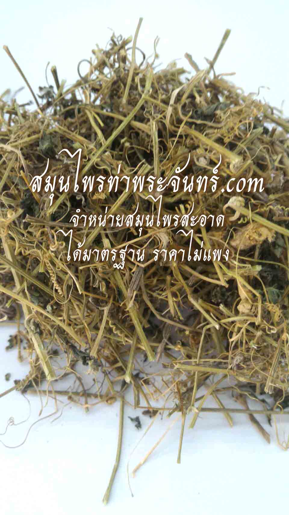 เถามะระขี้นกแห้ง
