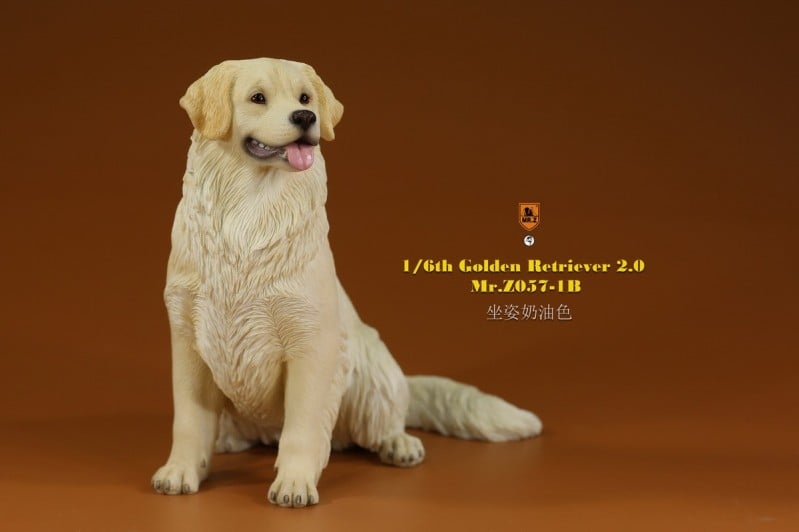 [สั่งจอง]Mr.Z MRZ057 1/6 : Golden Retriever 2.0