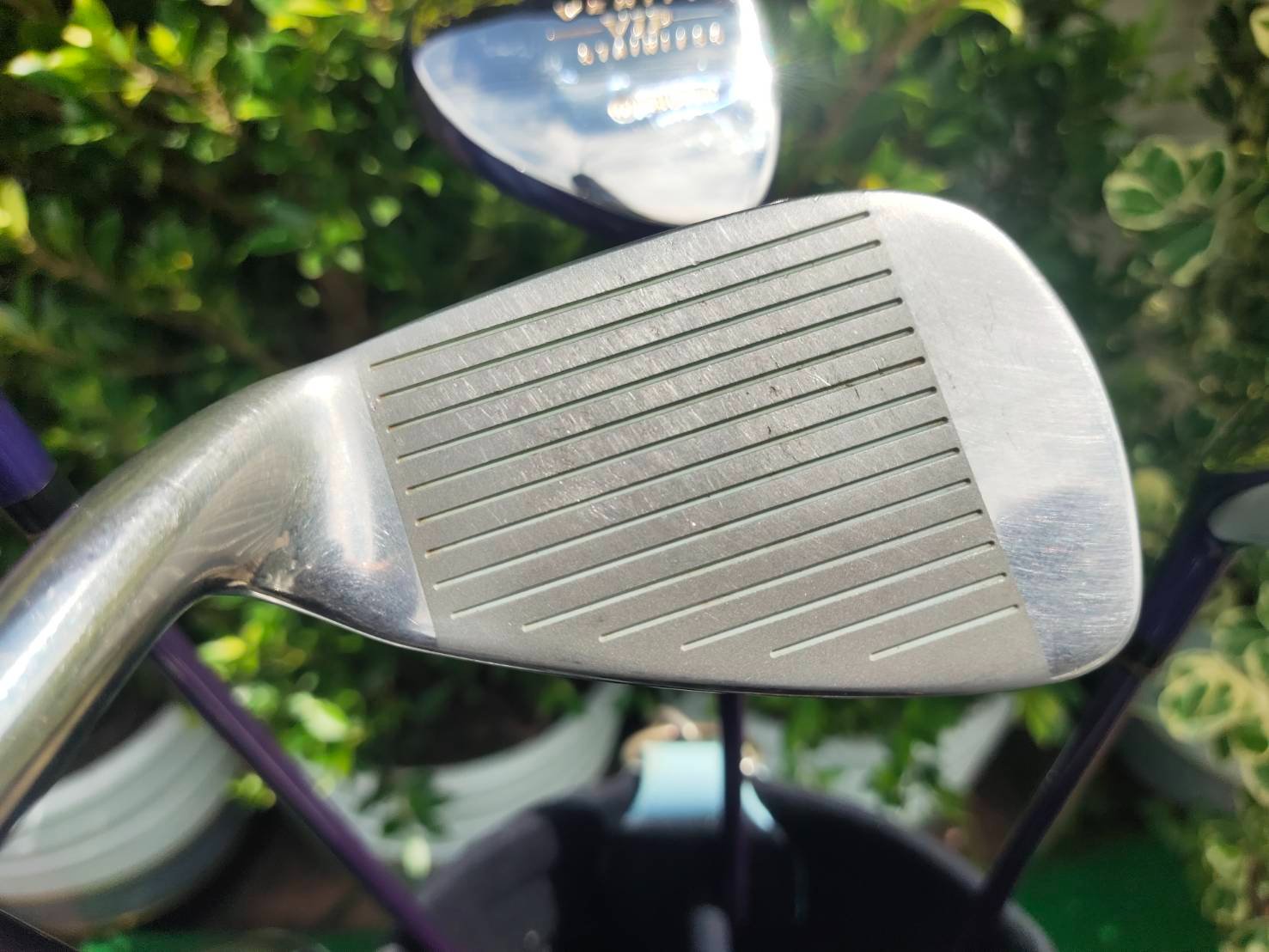 ไม้กอล์ฟสำหรับคุณผู้หญิง MARUMAN VERITY PREMIUM JAPAN VIP