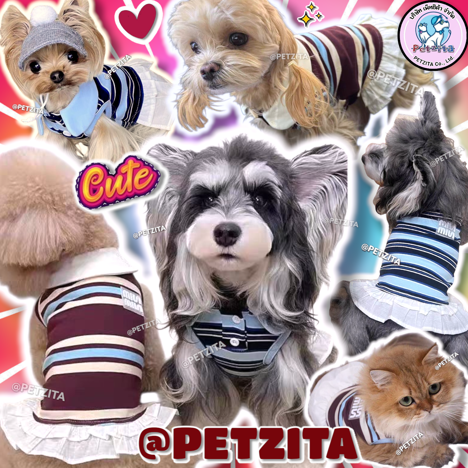 🇹🇭พร้อมส่ง🇹🇭💥 เดรสคอปกลายริ้วสุดน่ารัก FOR PET เสื้อสุนัข ชุดหมา ชุดแมว สัตว์เลี้ยง