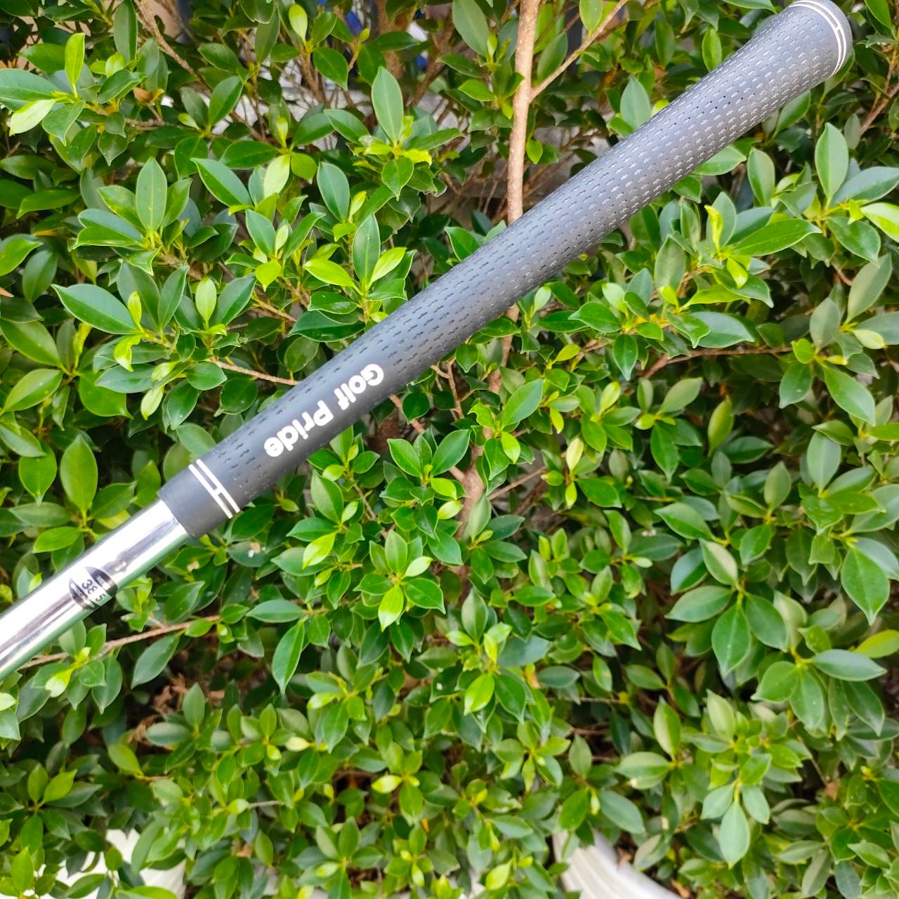 ชุดเหล็ก BRIDGESTONE REYGIANDE FORGED มีเหล็ก 3-9 PW SW P/S ชุดใหญ่ 10 ชิ้น ก้าน PRECION 5.0 สุดยอดพรีเมี่ยม กริพเปลี่ยน GOLF PRIDE ใหม่ทั้งชุด