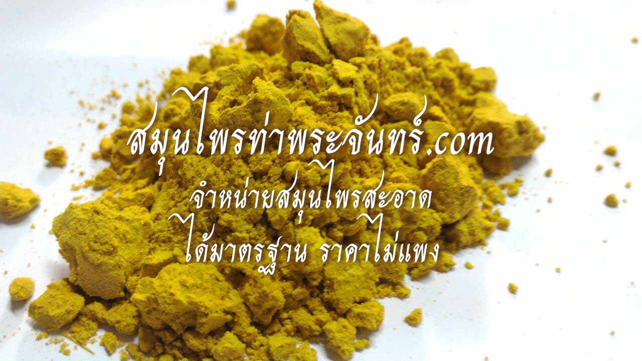 ไพลผง ( 200กรัม - 500กรัม - 1กิโล ) / ( 200g - 500g - 1kg ) สมุนไพรท่าพระจันทร์